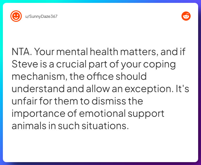 Comment from u/SunnyDaze367