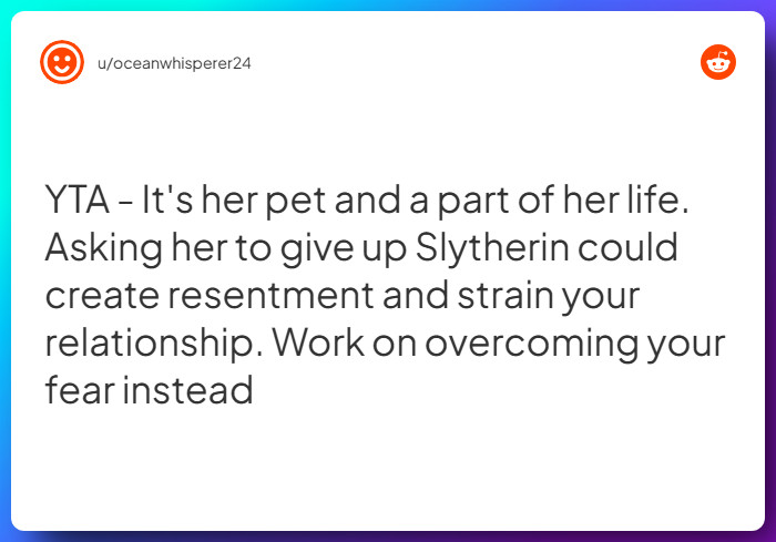 Comment from u/oceanwhisperer24