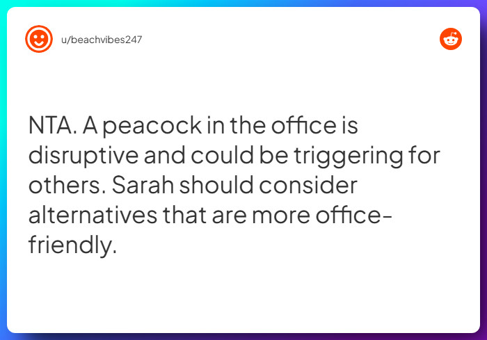 Comment from u/beachvibes247