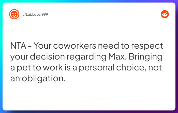 Comment from u/LabLover999