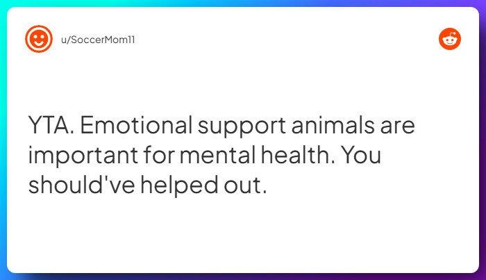 Comment from u/SoccerMom11