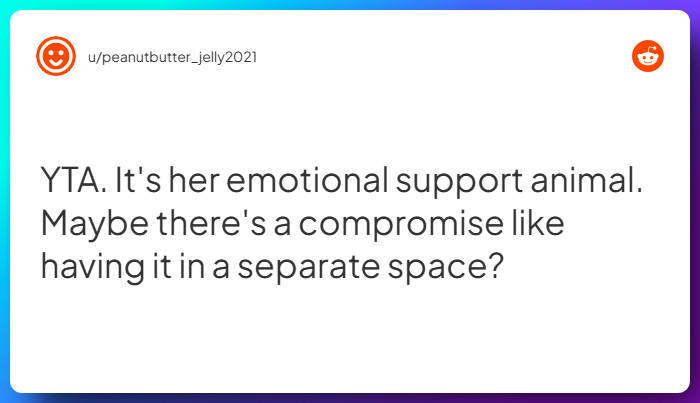 Comment from u/peanutbutter_jelly2021