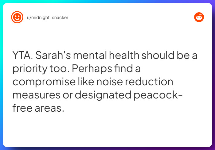 Comment from u/midnight_snacker