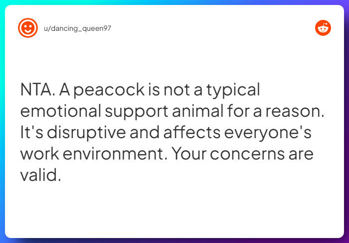 Comment from u/dancing_queen97