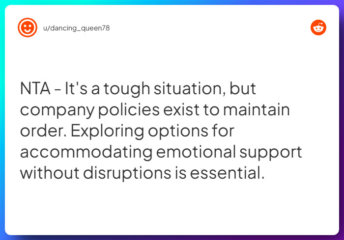 Comment from u/dancing_queen78