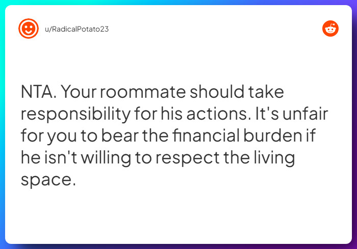 Comment from u/RadicalPotato23