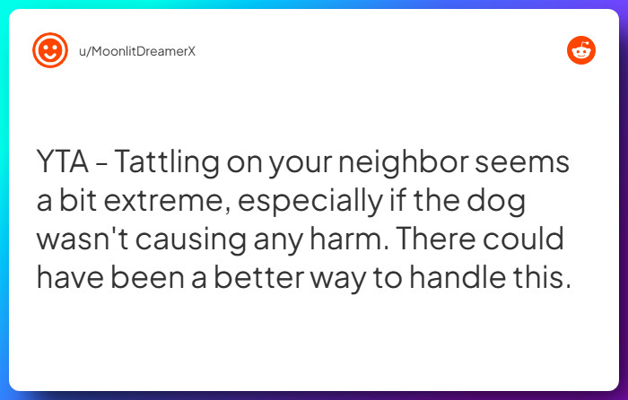 Comment from u/MoonlitDreamerX