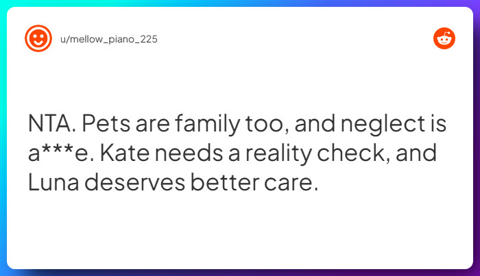 Comment from u/mellow_piano_225