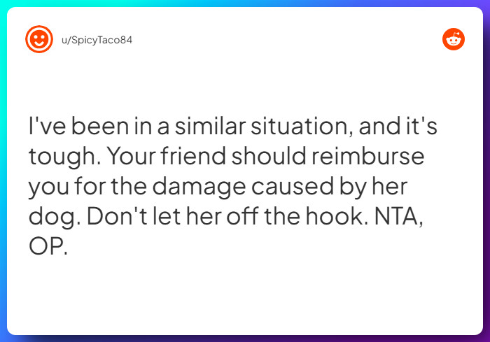 Comment from u/SpicyTaco84