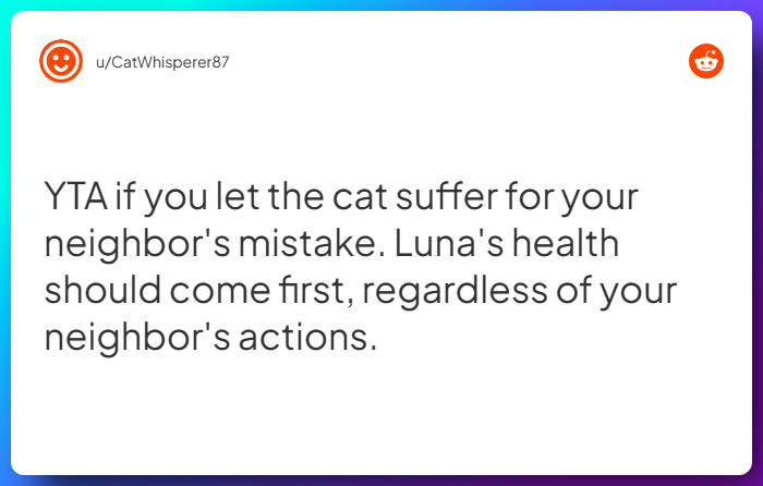 Comment from u/CatWhisperer87