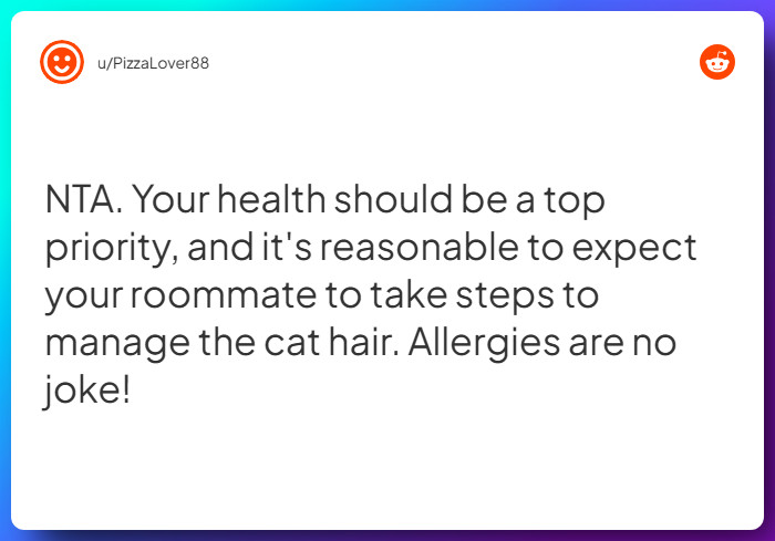 Comment from u/PizzaLover88