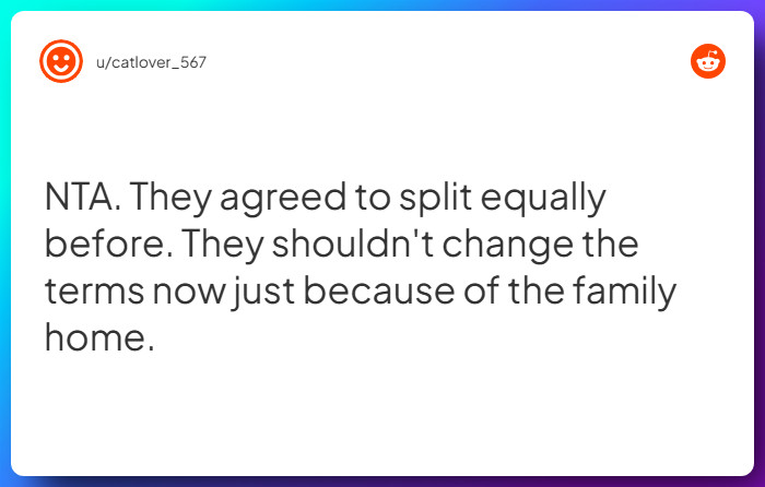 Comment from u/catlover_567