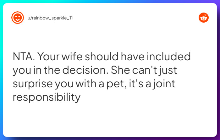 Comment from u/rainbow_sparkle_11