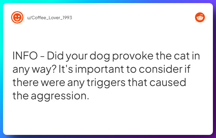 Comment from u/Coffee_Lover_1993