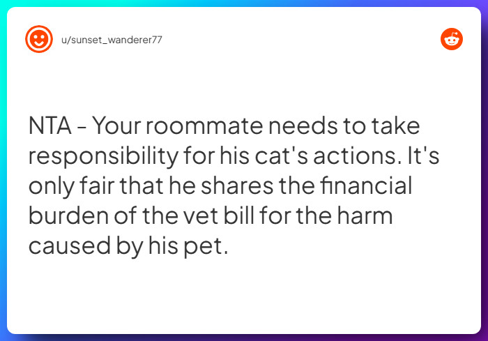 Comment from u/sunset_wanderer77