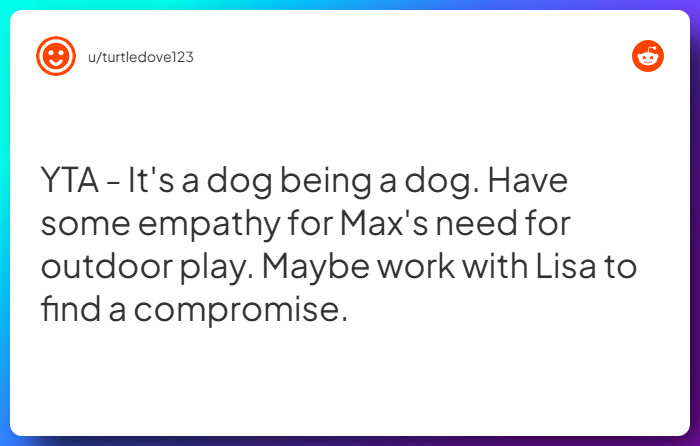 Comment from u/turtledove123