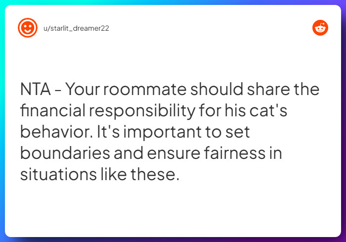 Comment from u/starlit_dreamer22