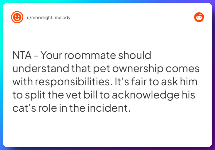 Comment from u/moonlight_melody