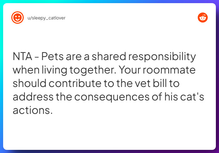 Comment from u/sleepy_catlover