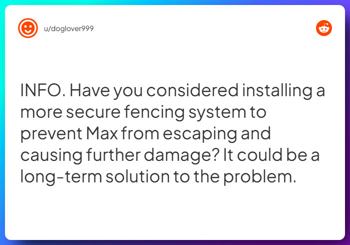 Comment from u/doglover999