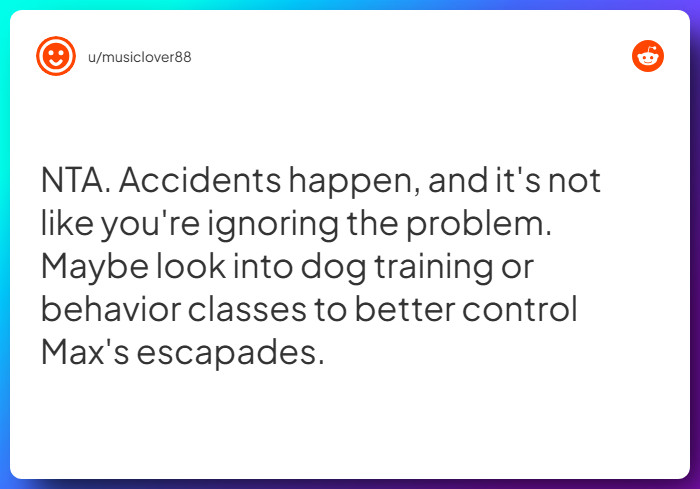 Comment from u/musiclover88