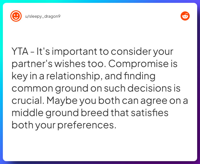 Comment from u/sleepy_dragon9