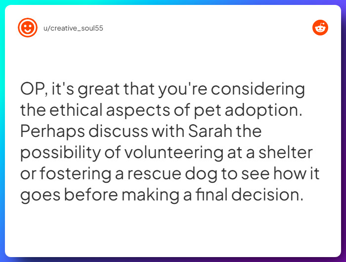 Comment from u/creative_soul55