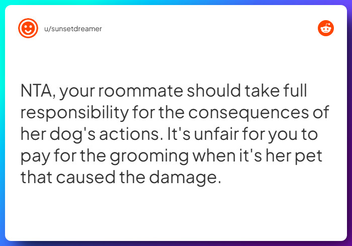 Comment from u/sunsetdreamer