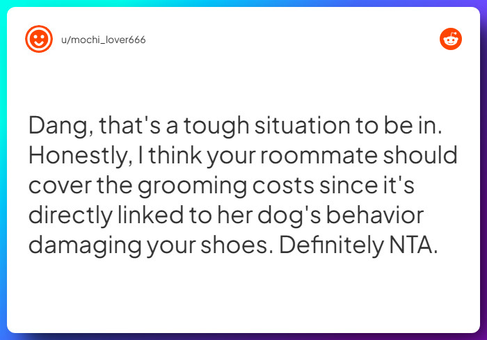 Comment from u/mochi_lover666