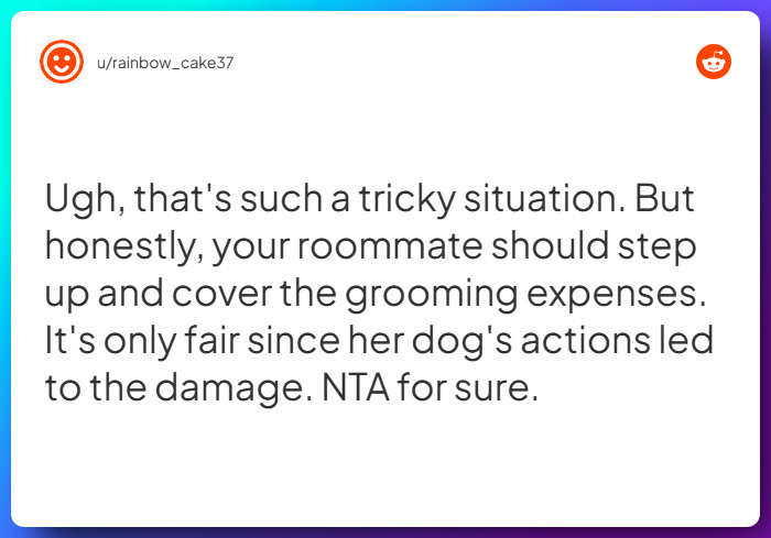 Comment from u/rainbow_cake37