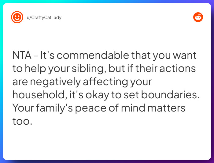 Comment from u/CraftyCatLady