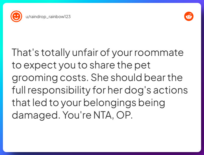 Comment from u/raindrop_rainbow123