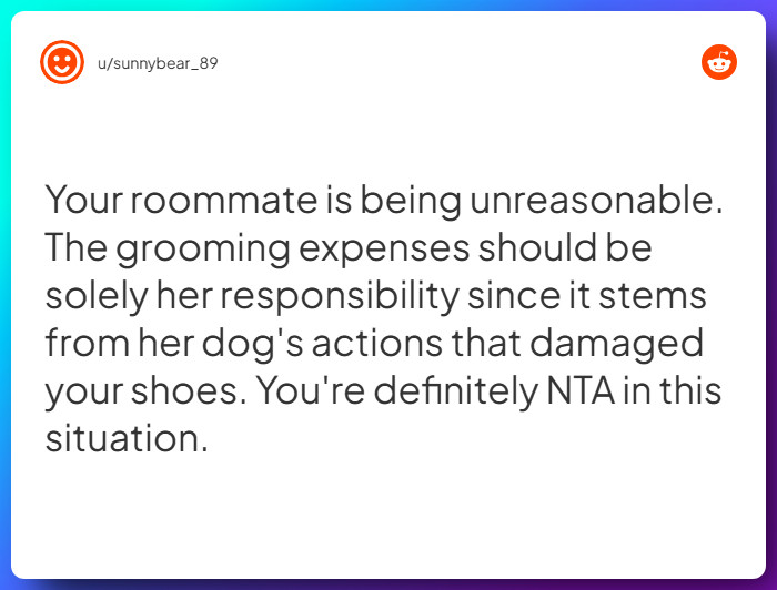 Comment from u/sunnybear_89