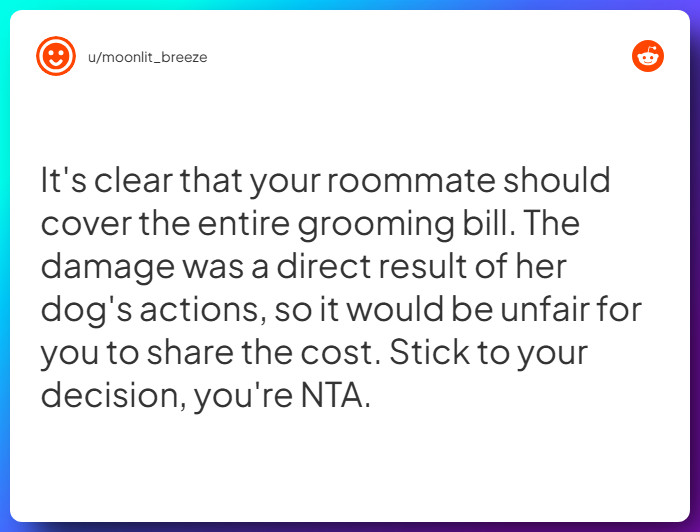 Comment from u/moonlit_breeze