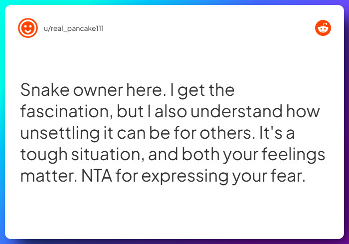 Comment from u/real_pancake111