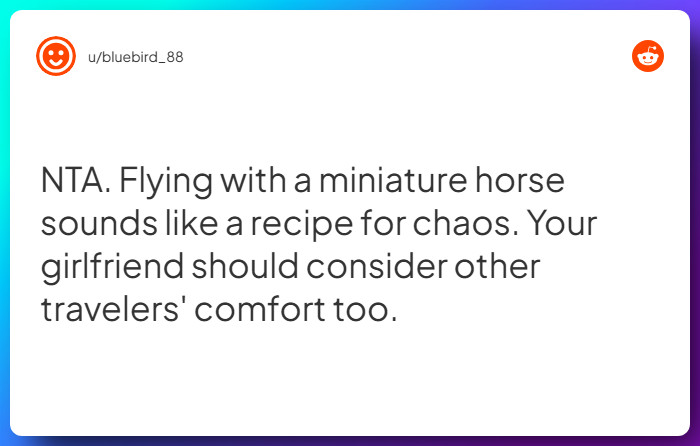 Comment from u/bluebird_88