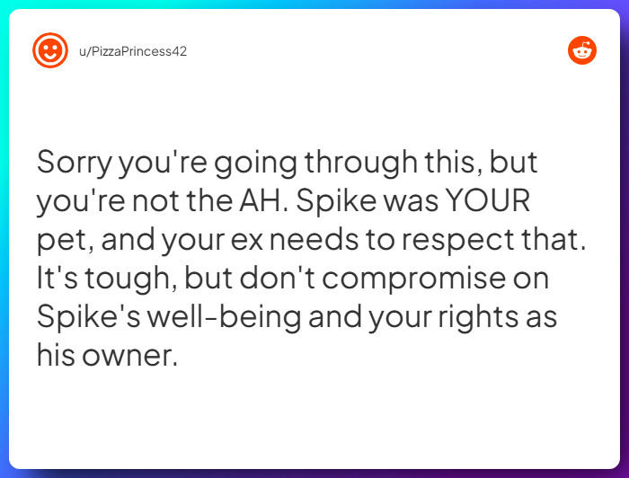 Comment from u/PizzaPrincess42