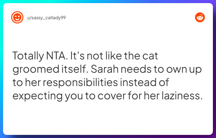 Comment from u/sassy_catlady99