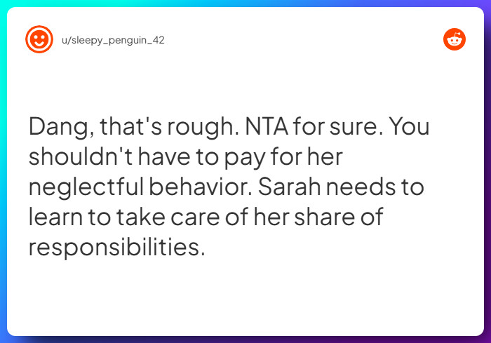 Comment from u/sleepy_penguin_42