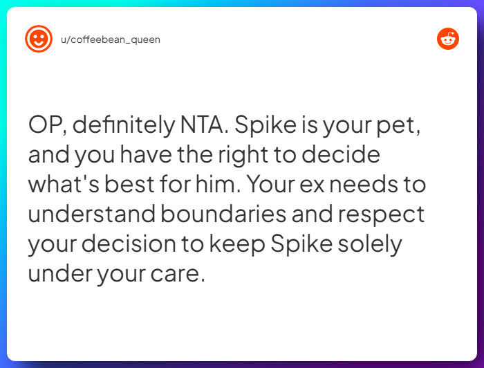 Comment from u/coffeebean_queen