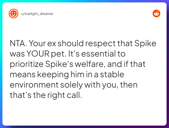 Comment from u/starlight_dreamer