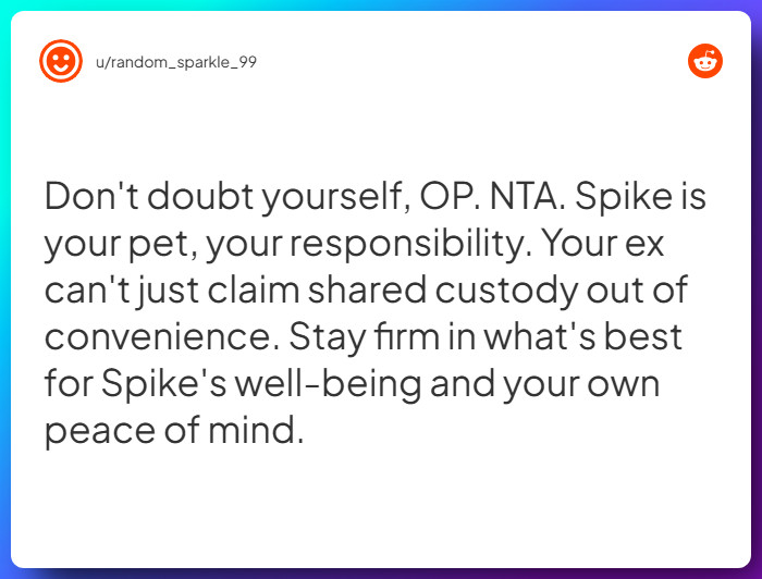 Comment from u/random_sparkle_99