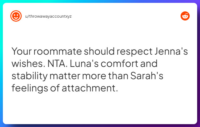 Comment from u/throwawayaccountxyz