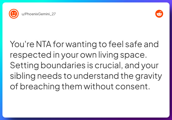 Comment from u/PhoenixGemini_27