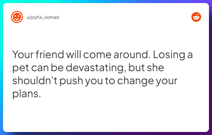 Comment from u/joyful_nomad