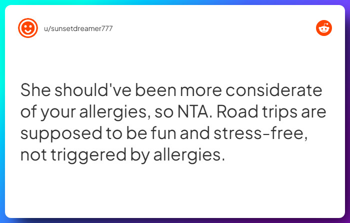 Comment from u/sunsetdreamer777