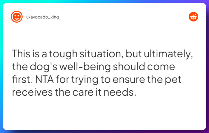 Comment from u/avocado_king