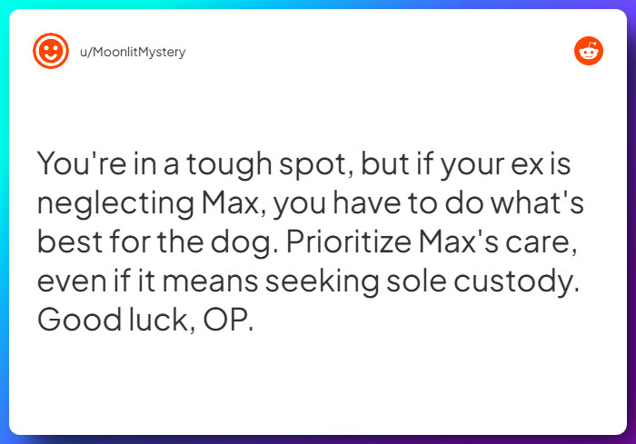 Comment from u/MoonlitMystery