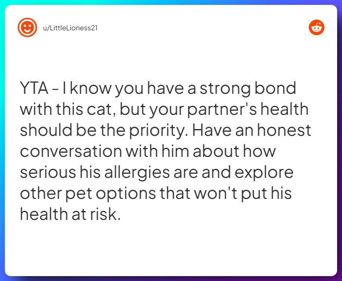 Comment from u/LittleLioness21