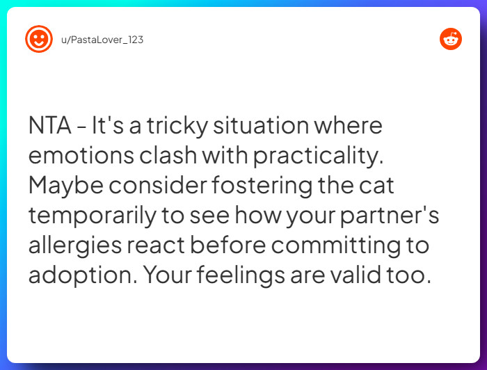 Comment from u/PastaLover_123